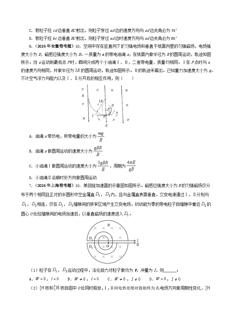 专题10 磁场-2024年高考真题和模拟题物理分类汇编03