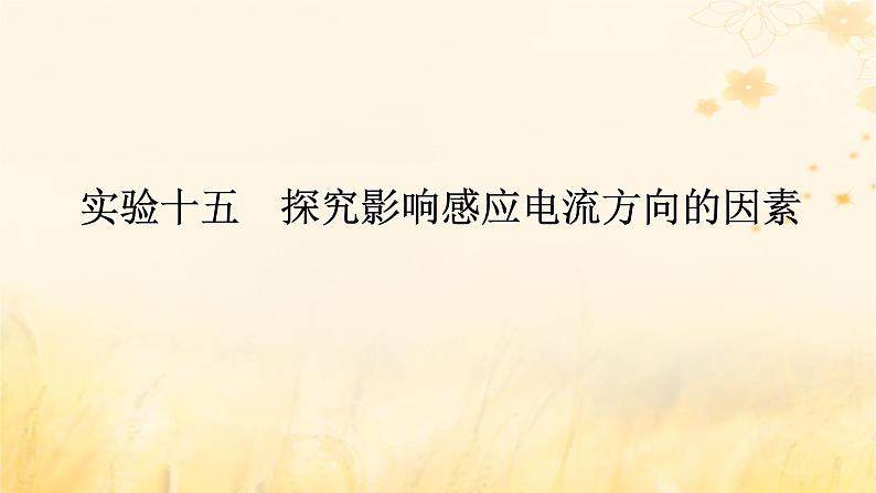 2025版高考物理全程一轮复习第十二章电磁感应实验十五探究影响感应电流方向的因素课件第1页