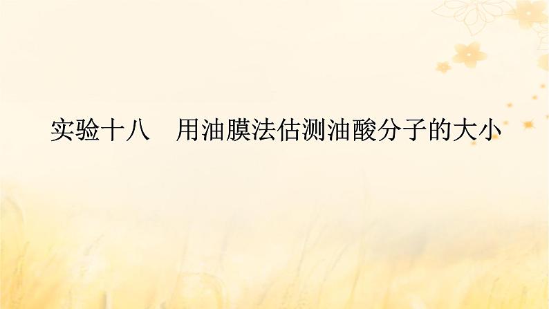 2025版高考物理全程一轮复习第十四章热学实验十八用油膜法估测油酸分子的大小课件第1页