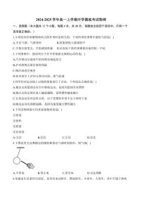 [物理]湖南省衡阳市衡阳县第四中学2024～2025学年高一上学期开学摸底考试物理试题(有解析)