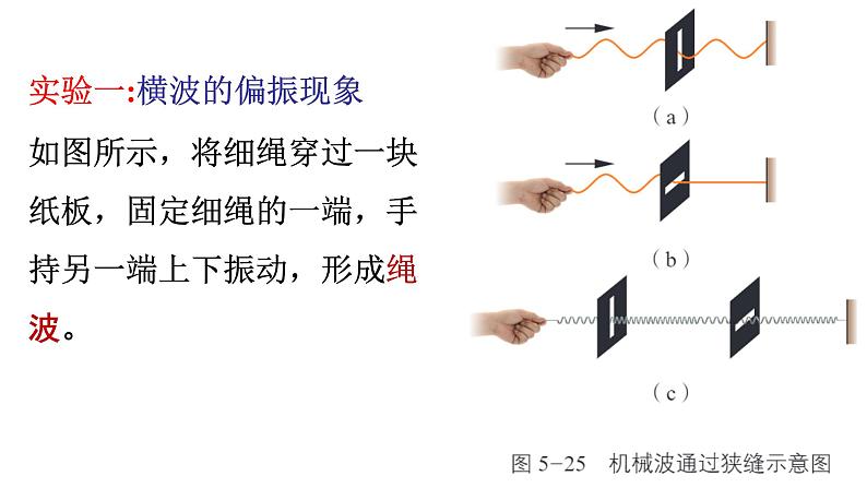 5.4 光的偏振 课件 高一物理鲁科版(2019)选择性必修第一册第5页