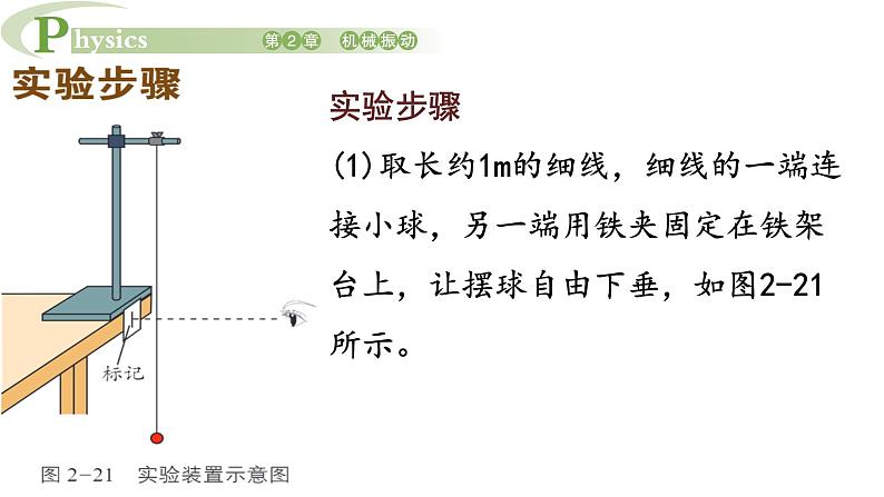 2.4 科学测量用单摆测量重力加速度 课件高一物理鲁科版(2019)选择性必修第一册08