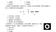 高中物理人教版 (2019)选择性必修 第一册5 光的衍射精品练习题
