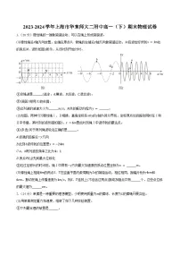 2023-2024学年上海市华东师大二附中高一(下)期末物理试卷(含解析)