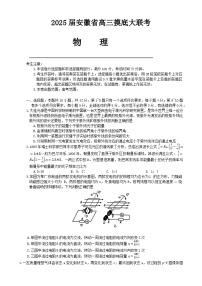 2025届安徽省高三上学期开学摸底考试物理试卷