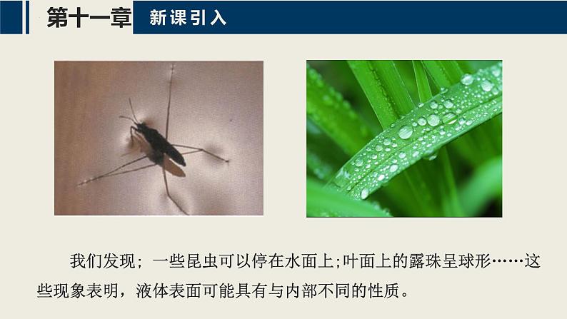沪科版2020上海高二物理选修三 11.4_11.6气体、液体和固体(课件)04