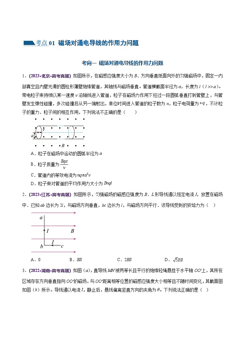 新高考物理二轮复习讲练测专题10 磁场 带电粒子在磁场中的运动(练习)(2份打包,原卷版+解析版)02