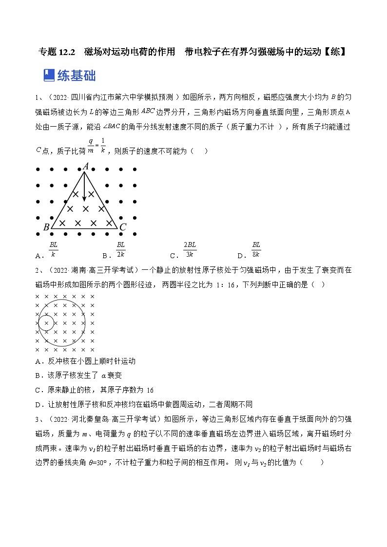 新高考物理一轮复习跟踪练习专题12.2 磁场对运动电荷的作用 带电粒子在有界匀强磁场中的运动(原卷版)第1页