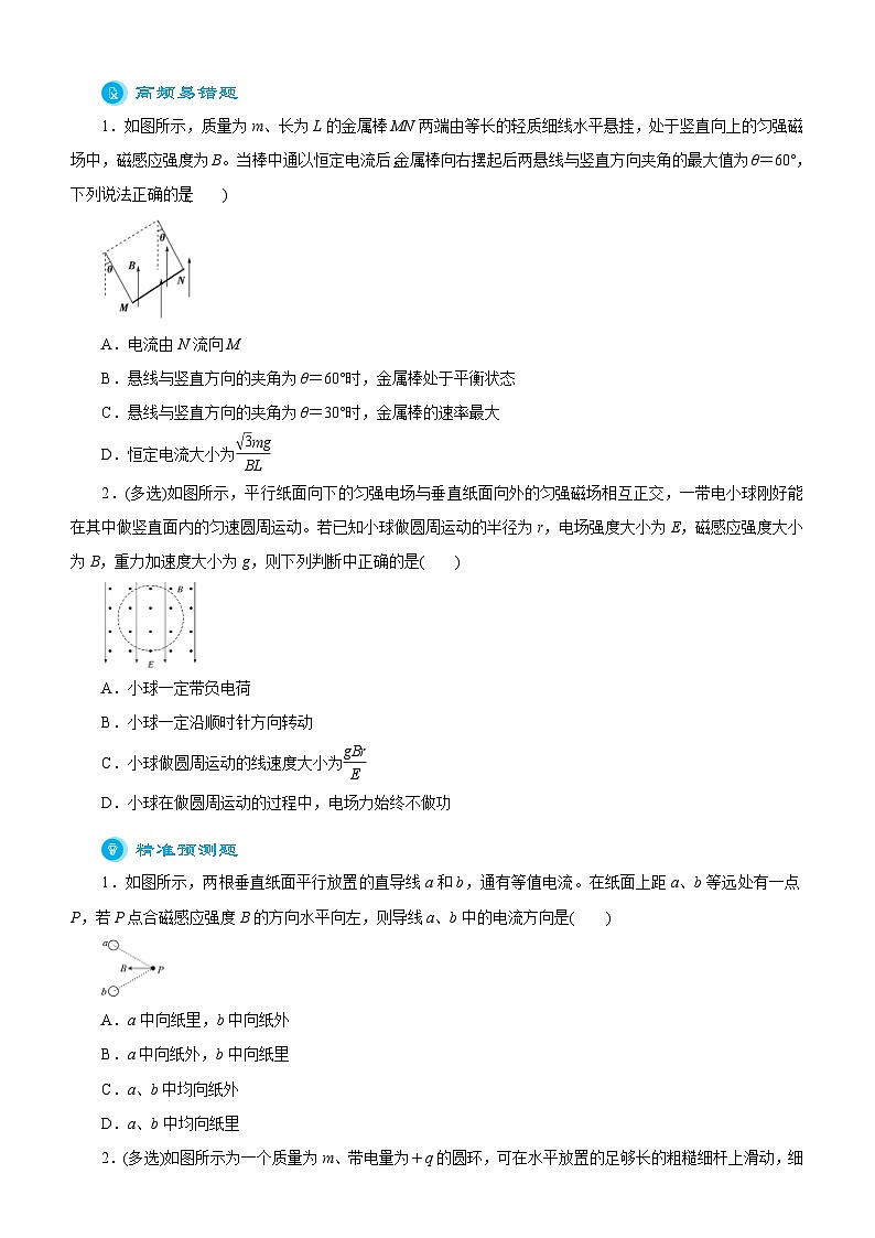 新高考物理二轮复习练习专题七 磁场(原卷版)第3页