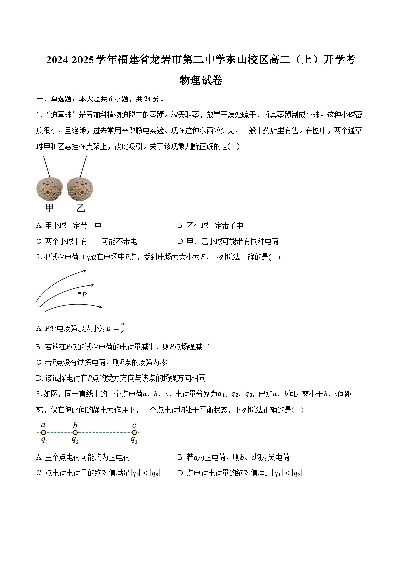 2024-2025學(xué)年福建省龍巖市第二中學(xué)東山校區(qū)高二（上）開學(xué)考物理試卷（含答案）第1頁