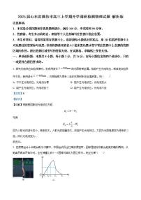 2025届山东省潍坊市高三上学期开学调研检测物理试题 解析版