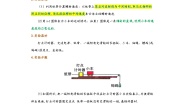 物理1 实验：探究小车速度随时间变化的规律精品学案