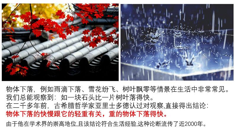 2.4 自由落体运动 课件-2024-2025学年高一上学期物理人教版(2019)必修第一册第5页