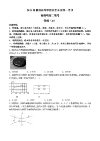 河南省十校2024-2025学年高二上学期10月月考物理试题