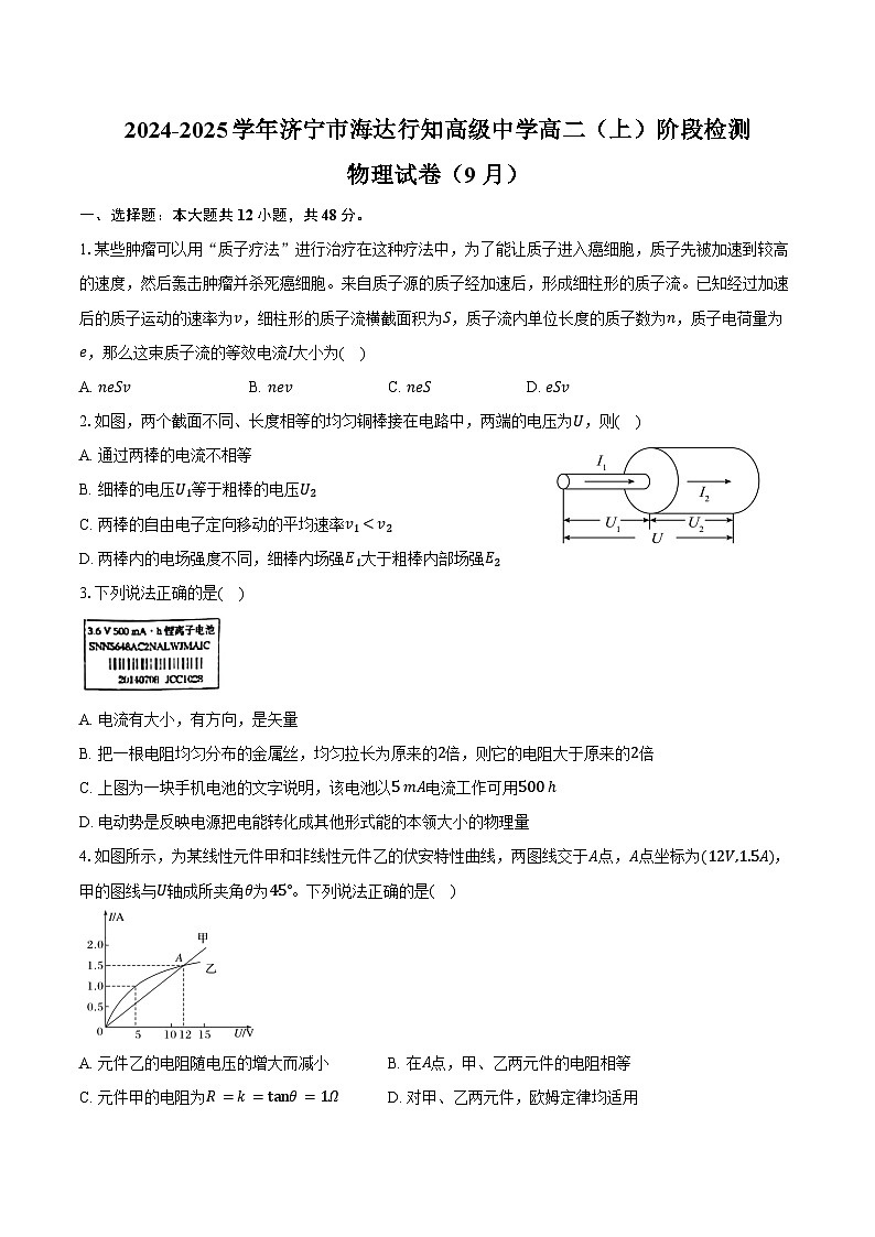 2024-2025学年山东省济宁市济宁海达行知高级中学高二(上)阶段检测物理试卷(9月)(含解析)第1页