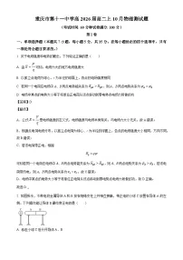 重庆市第十一中学2024-2025学年高二上学期10月月考物理试卷（解析版）