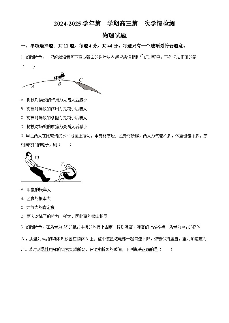 江苏省连云港高级中学2024-2025学年高三上学期9月月考物理试题(Word版附解析)01