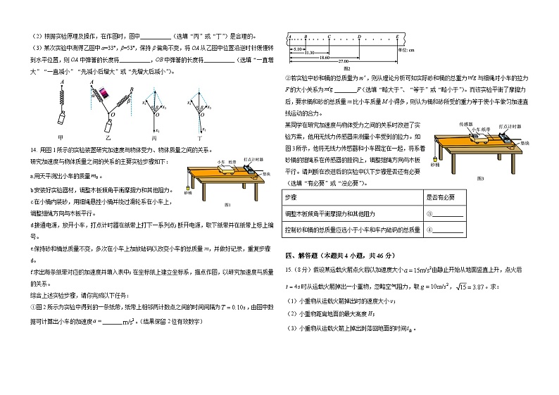 山东省郓城第一中学2024-2025学年高三上学期10月定时检测物理试题第3页