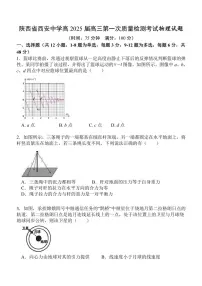 陕西省西安中学2024～2025学年高三上学期10月月考物理试题（含答案）