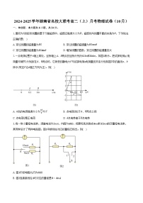 2024-2025学年湖南省名校大联考高二（上）月考物理试卷（10月）（含答案）