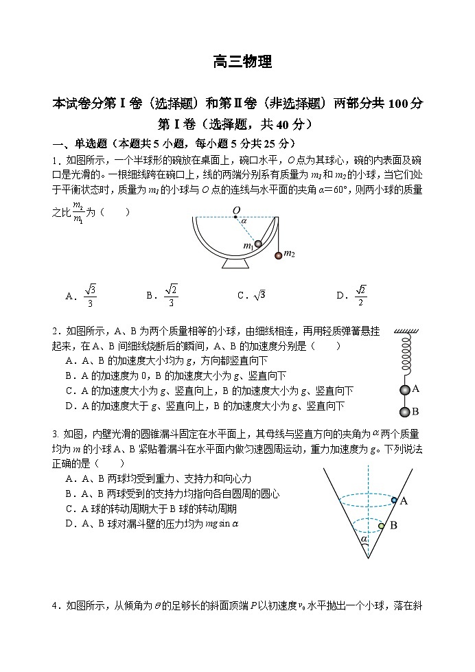 天津市红桥区2024-2025学年高三上学期期中物理试题01