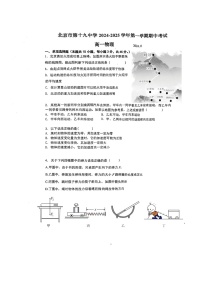 北京市第十九中学2024-2025学年高一上学期11月期中物理试题