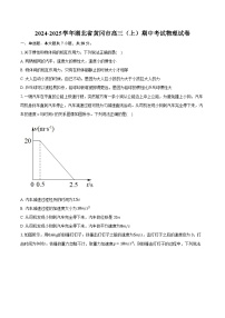 湖北省黄冈市2024-2025学年高三上学期期中考试物理试卷
