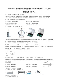 2024-2025学年浙江省嘉兴市桐乡市茅盾中学高二（上）月考物理试卷（10月）（含答案）