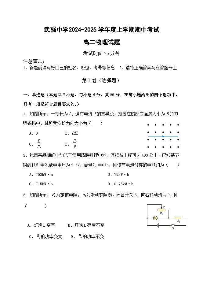 河北省衡水市武强中学2024-2025学年高二上学期期中考试物理试题第1页