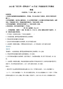 广西壮族自治区河池市2024-2025学年高二上学期10月月考物理试题（Word版附解析）