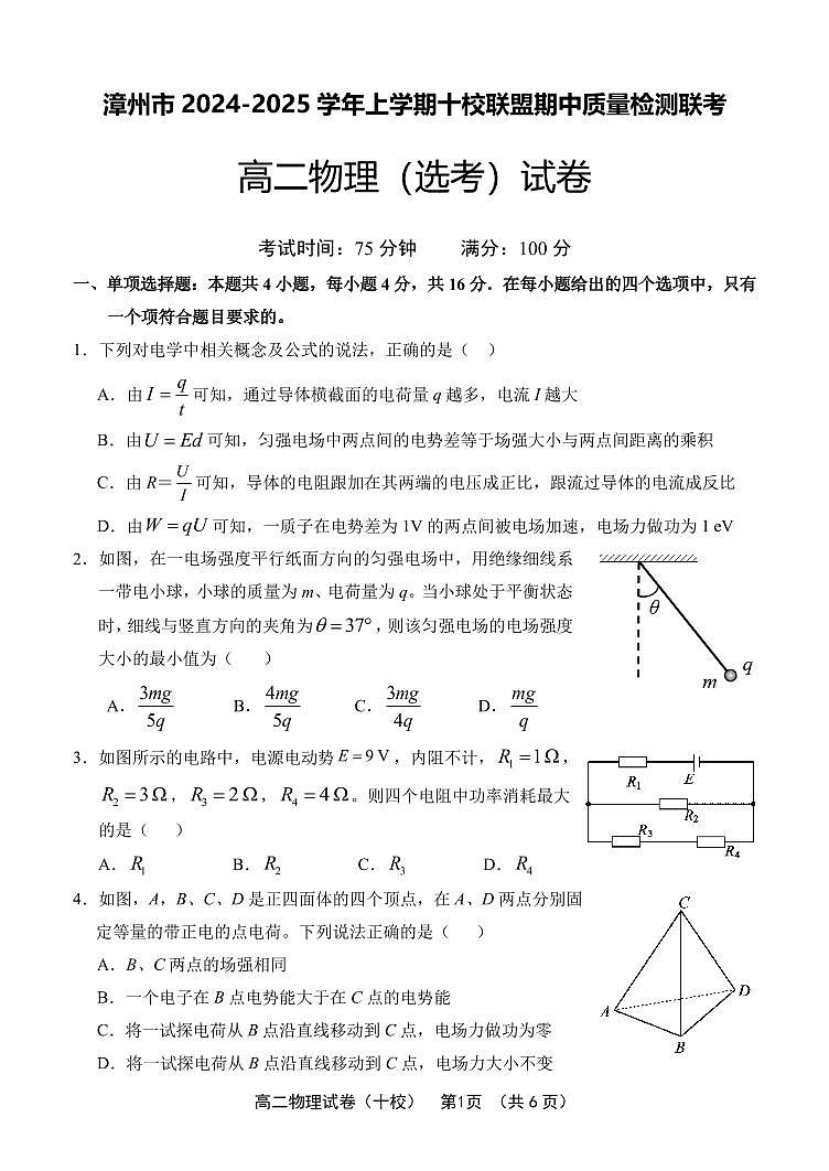 漳州市2024-2025学年上学期十校联盟期中质量检测联考高二物理(选考)试卷(含答案)第1页