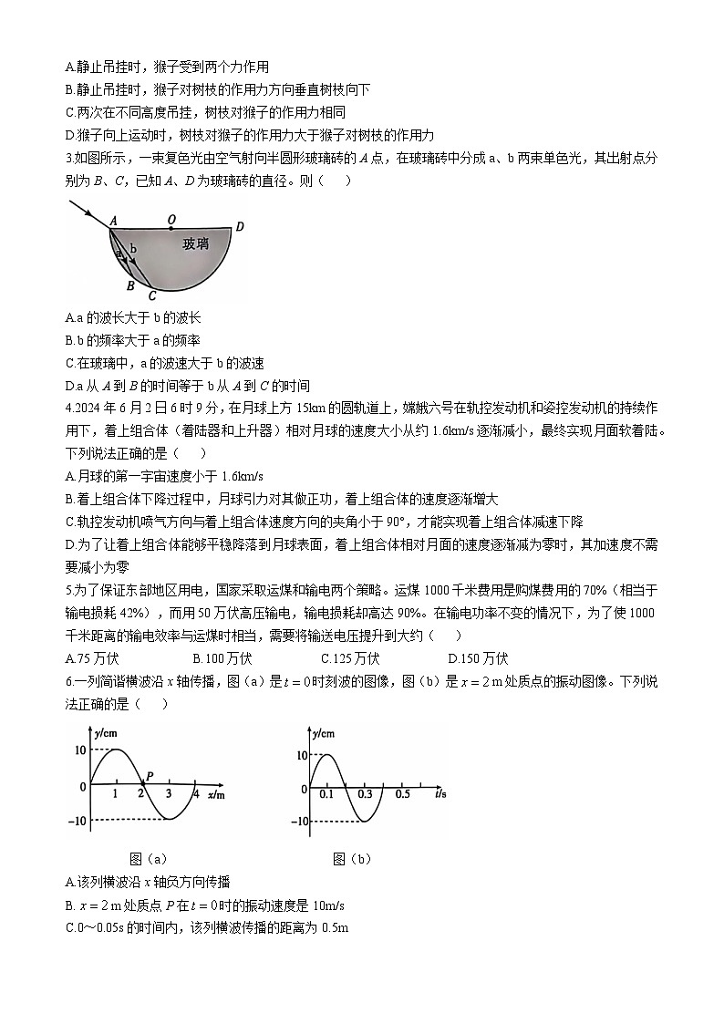 2025湖北省高中名校联盟高三上学期11月月考试题物理含解析第2页