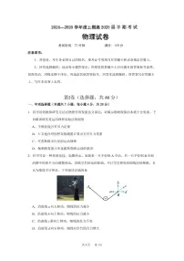 四川省成都市第七中学2024-2025学年高三上学期11月期中考试物理试卷（PDF版附答案）