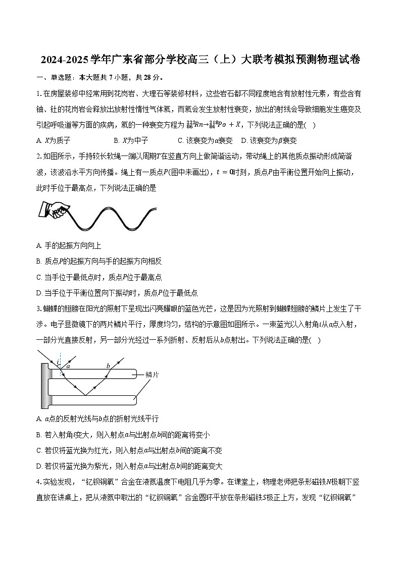 2024-2025學(xué)年廣東省部分學(xué)校高三（上）大聯(lián)考模擬預(yù)測物理試卷（含答案）第1頁