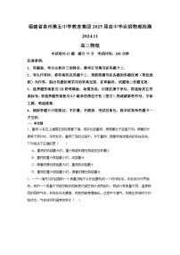 福建省泉州市第五中学2024-2025学年高三上学期11月期中考试物理试卷（Word版附解析）