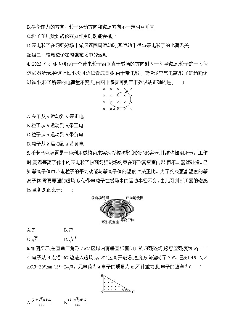 第11章 磁场 第2讲 磁场对运动电荷的作用力-【人教版】2025新教材高考物理一轮基础练习第2页