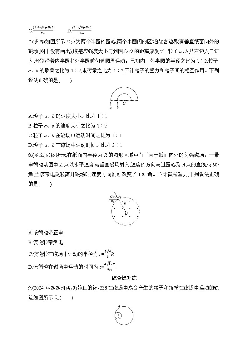 第11章 磁场 第2讲 磁场对运动电荷的作用力-【人教版】2025新教材高考物理一轮基础练习第3页