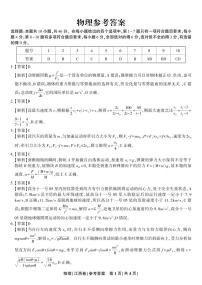 江西省九江市十校2024-2025學(xué)年高三上學(xué)期11月期中聯(lián)考物理試卷