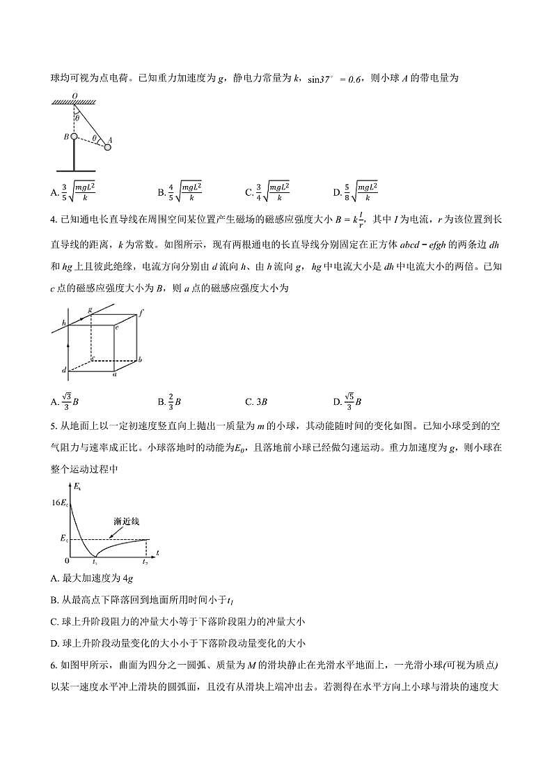 湖南省长沙市师大附中2024~2025学年高二(上)期中物理试卷(含答案)第2页