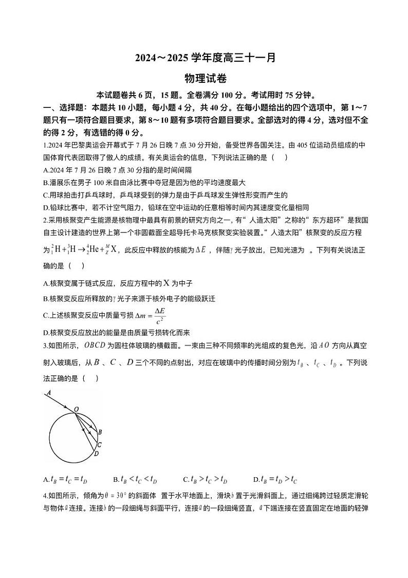 湖北省武汉市江岸区2024-2025学年高三上学期11月调考物理试卷第1页