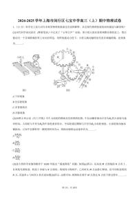2024～2025学年上海市闵行区七宝中学高三(上)期中物理试卷(含答案)