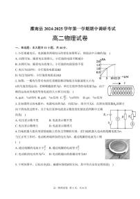 江苏省连云港市灌南县2024-2025学年高二上学期11月期中物理试题