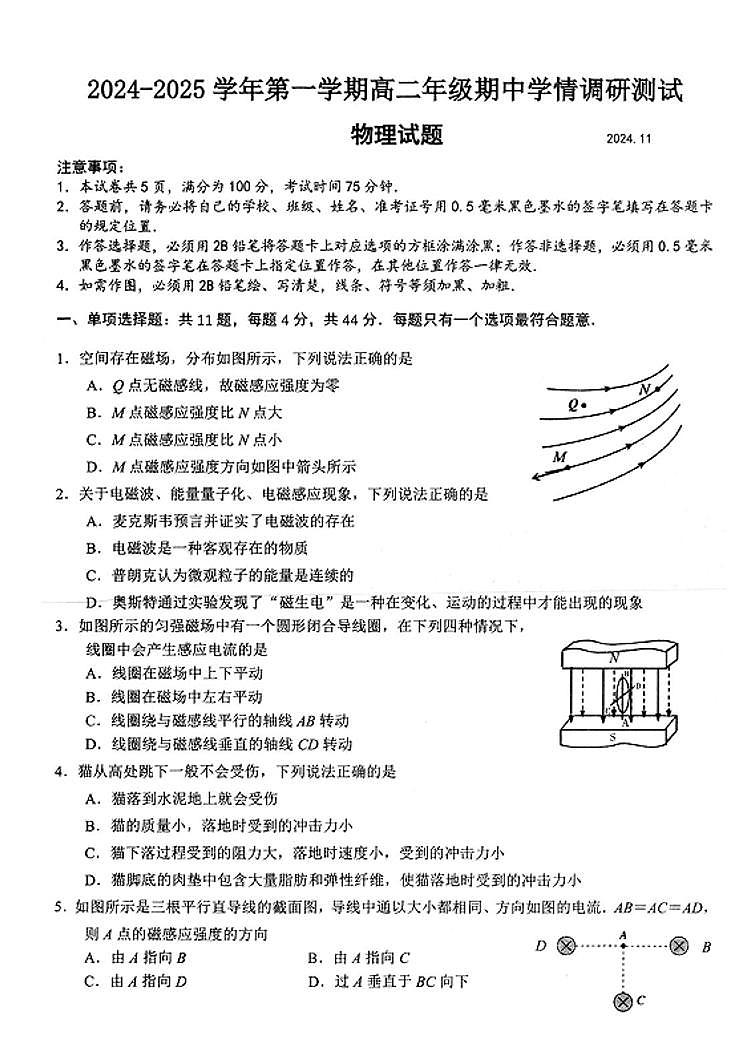 江苏扬州市高邮市2024年高二上学期11月期中物理试题+答案01