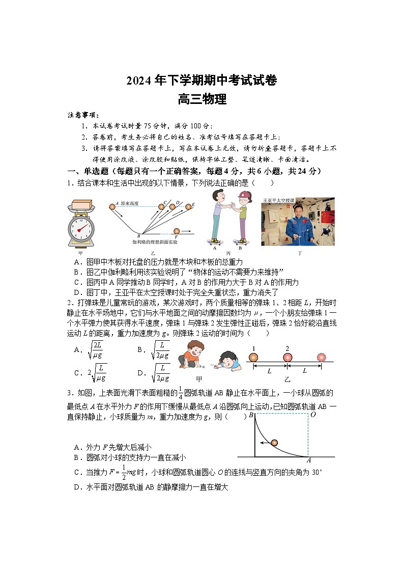 湖南省邵阳市武冈市2024-2025学年高三上学期期中考试物理试题第1页