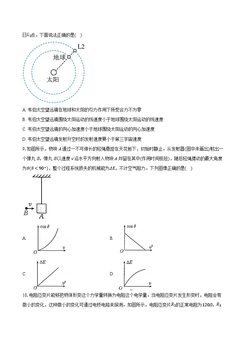 湖北省2024-2025学年高二上学期期中联考物理试卷(Word版附答案)第3页