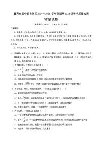 四川省宜宾市第三中学2024-2025学年高二上学期期中考试物理试卷（Word版附答案）