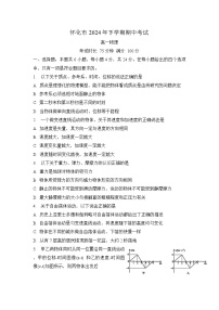 湖南省怀化市2024-2025学年高一上学期期中考试物理试题