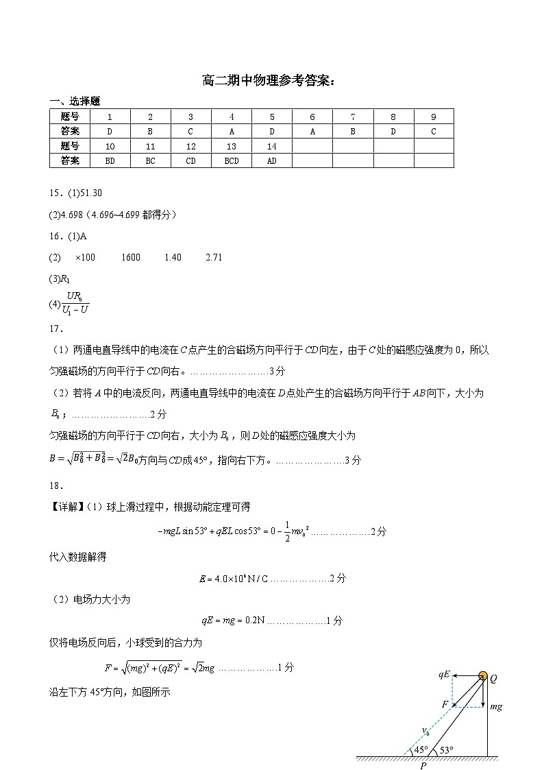 黑龙江省大庆市实验中学实验二部2024-2025学年高二上学期期中考试物理试卷01