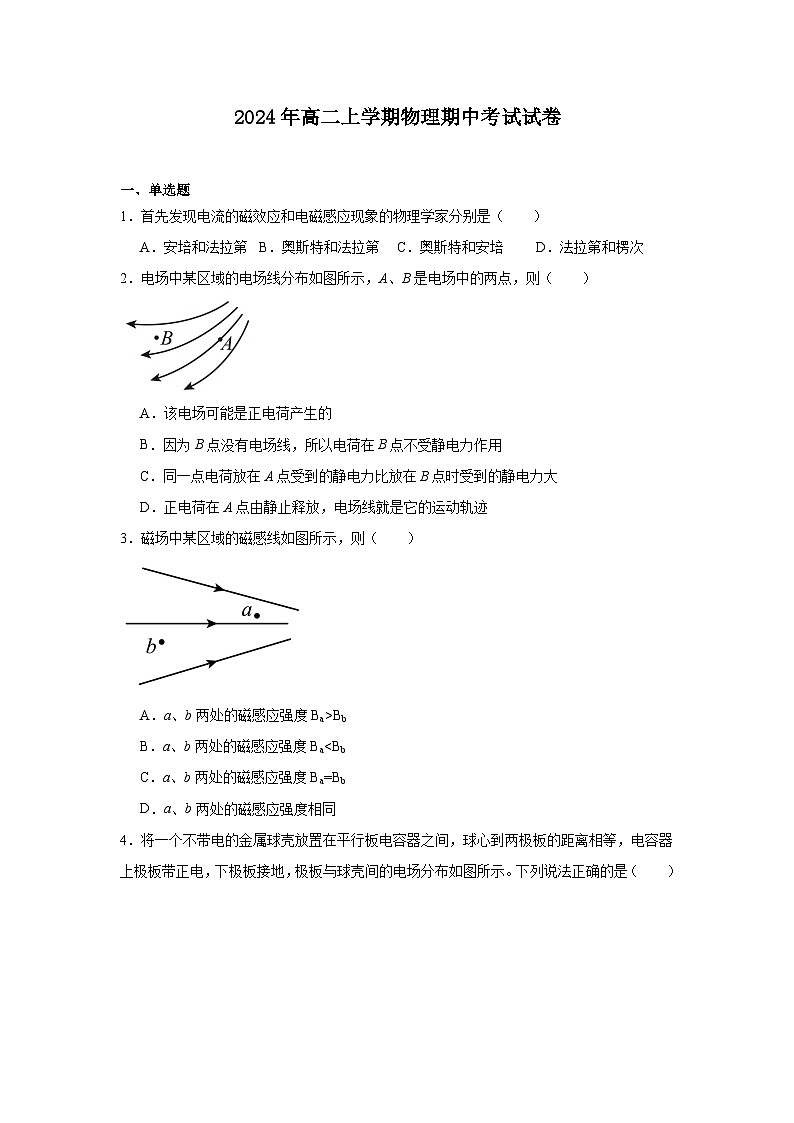 湖南省岳阳市临湘市2024-2025学年高二上学期11月期中物理试题第1页