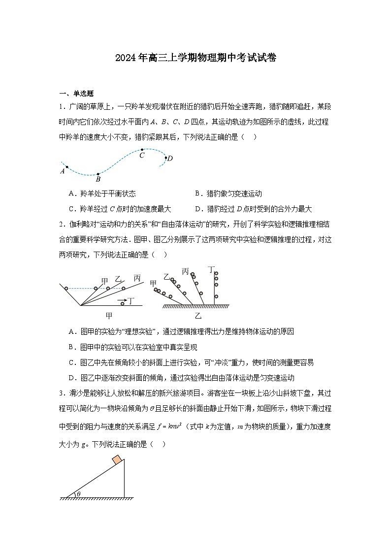 湖南省岳阳市临湘市2024-2025学年高三上学期11月期中物理试题01